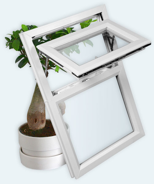 Window and Plant - green technology